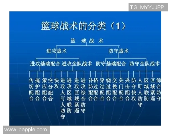 武汉排球队与杭州排球队赛后技术分析与战术探讨