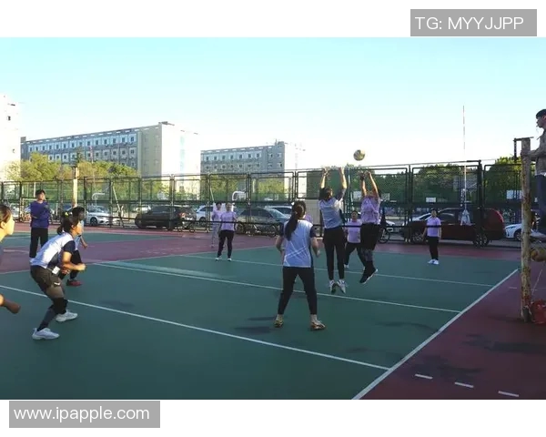 深圳排球队的团队协作之道:排球巨献背后的默契与拼搏精神 深圳排球队的团队协作之道:排球巨献背后的默契与拼搏精神