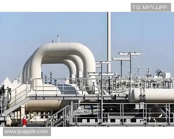 全球挑战赛特别报道:液化天然气如何在全球能源转型中崛起与发展 全球挑战赛特别报道:液化天然气如何在全球能源转型中崛起与发展