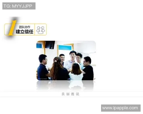 南京排球队的团队协作与默契提升研究探讨