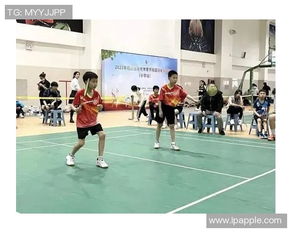 南京羽毛球队阵地战革新探索与实践的深度分析与展望 南京羽毛球队阵地战革新探索与实践的深度分析与展望