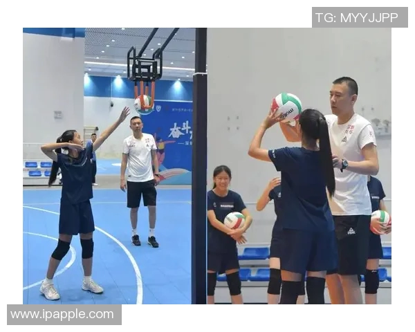 排球训练装备全攻略优质器材推荐助你提升技术水平