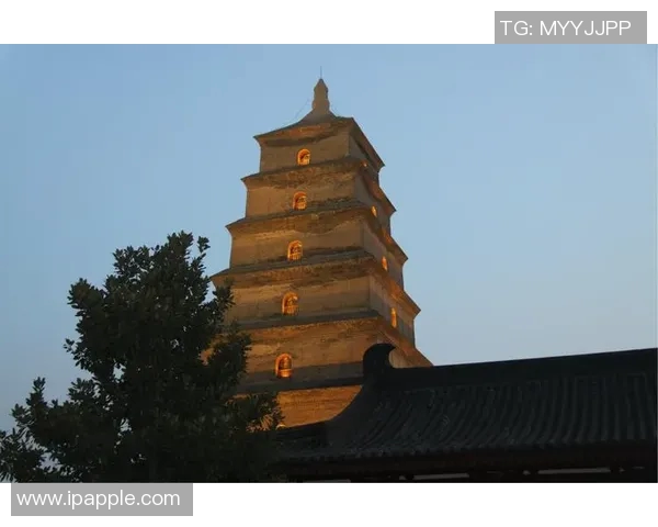 西安乒乓球队奋斗历程全景纪实：追寻梦想与荣耀的足迹