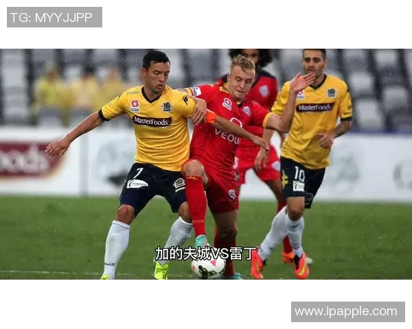 加的夫城与雷丁的激烈对决展现英冠联赛的精彩与悬念 加的夫城与雷丁的激烈对决展现英冠联赛的精彩与悬念