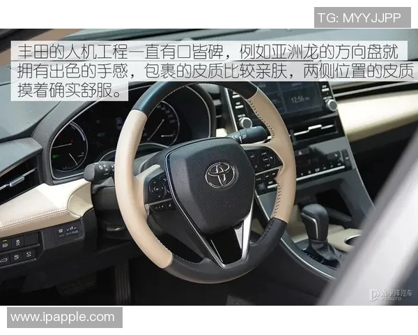 徐哓冬与一龙巅峰对决谁能笑到最后拳坛传奇之战即将上演