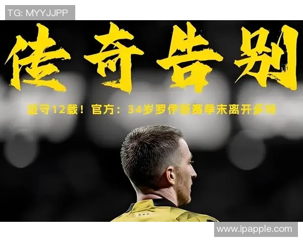 本泽马：从天赋少年到足球巨星的辉煌历程与传奇故事