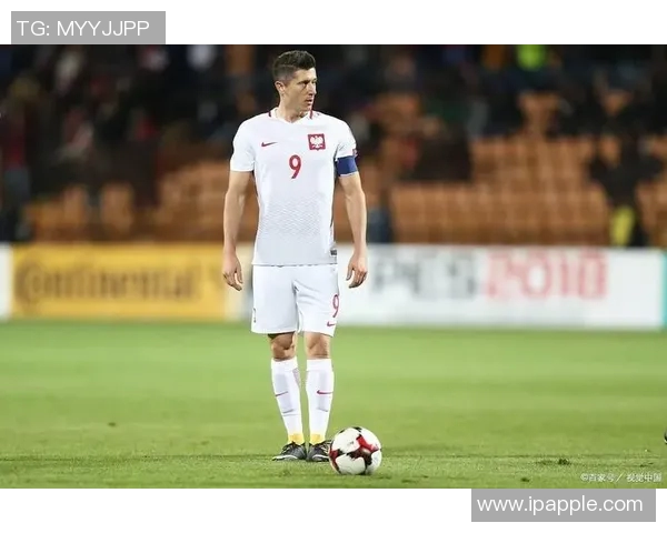 波兰与立陶宛足球比赛现场直播全程回顾与精彩瞬间分享