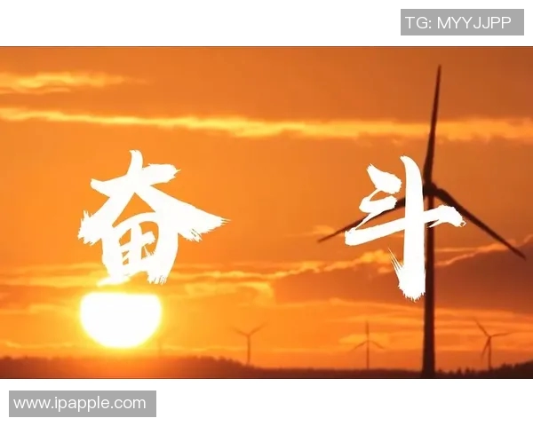 贾诚：在时代浪潮中追寻梦想的年轻创业者的奋斗故事