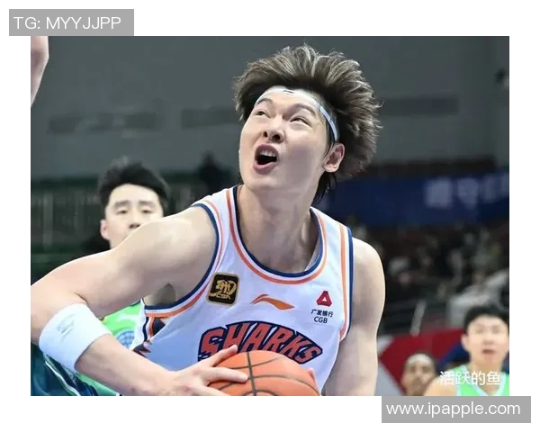 王哲林在CBA赛场的崛起之路与未来发展潜力分析